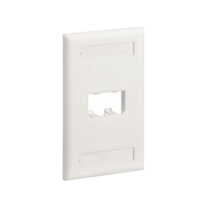 Placa de Pared Vertical Clásica, Salida Para 2 Puertos Mini-Com, Con Espacios Para Etiquetas, Color Blanco