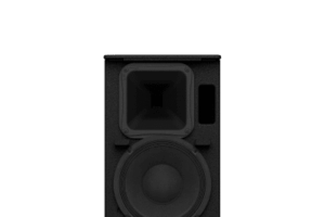 Altavoz de Montaje en Superficie de 2 vias | Woofer 10'' | Tweeter 1.4" | 8ohms | Color Negro | 350W | Gabinete de Madera
