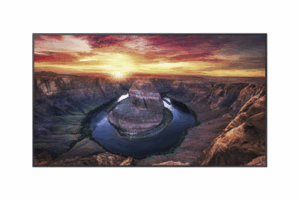 Pantalla Profesional LED de 50", UHD 4K (3840x2160p), Entradas de Video HDMI/DisplayPort / USO 24/7 / Compatible VESA / Compatible con software MagicInfo