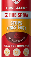EXTINTOR PORTATIL / SPRAY 100 ML / AGENTE EXTINTOR DIPOTASICO / USO MULTIPLE / GASES BAJO PRESION