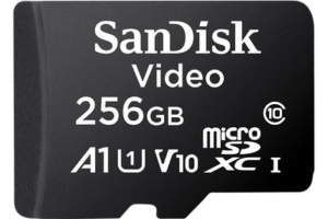 Memoria microSD SanDisk 256GB / Alta Resistencia / Videovigilancia / Clase 10